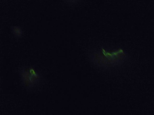 �ق��錩����