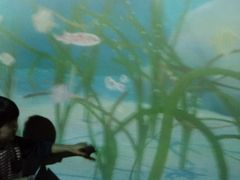 O~N̐䂤݂̓mقւ̓eʐ^1