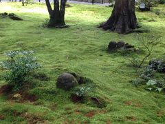 poporon̑匴ւ̓eʐ^1