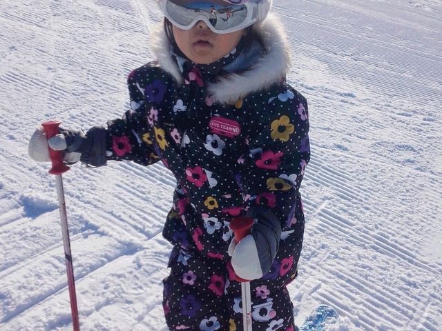 �X�L�[�f�r���[���܂����B_�J���C�X�L�[�����N�X