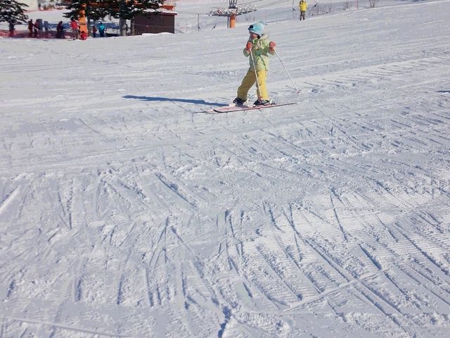 �Ȃ��炩�Ȃ̂Ŋy�������邱�Ƃ��ł��܂����B_�J���C�X�L�[�����N�X