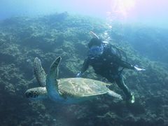 ҂̃_CrOT[rXEՂ܂ǂւ̓eʐ^1