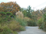 kyouko����̓������̔��Ԃ̓��e�ʐ^3