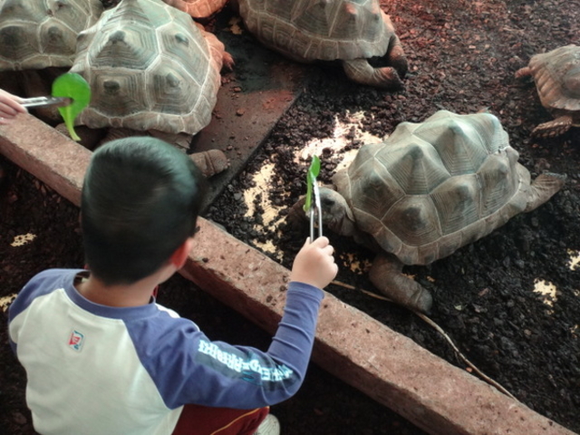 �̊��^������ iZoo