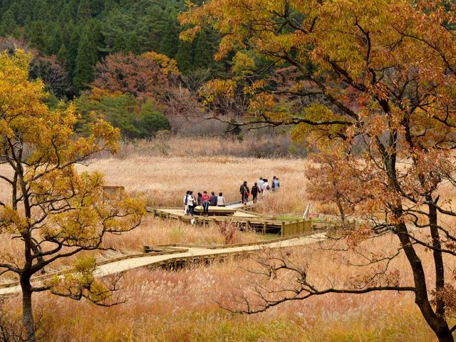 ����Ԃ���̒��Ҍ����R�����H�̓��e�ʐ^1