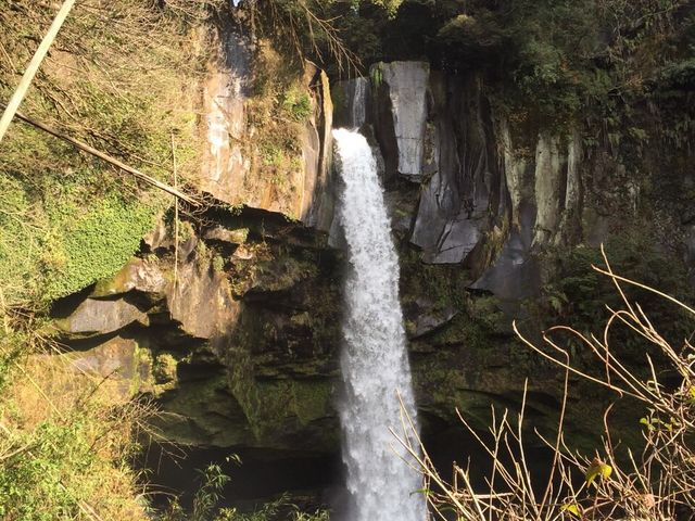 ������_������V����