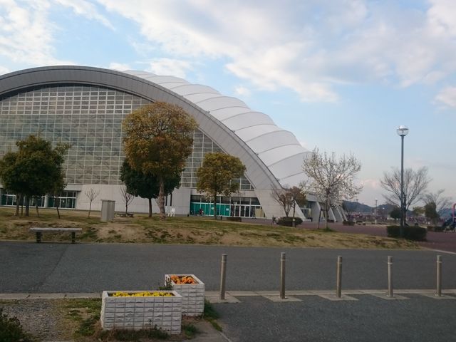 �h�[���I���������f�J���I_���R�h�[��