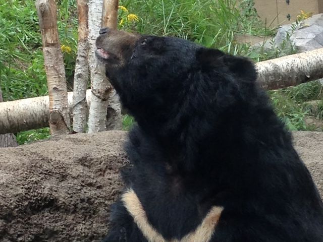 �~�R������