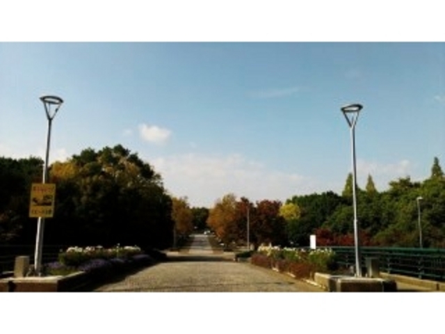 LXƂʘHĂA؂łB_v󎛗Βn