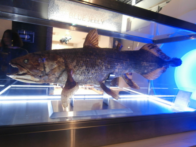 ���Í`�[�C�����ف`�V�[���J���X�E�~���[�W�A���`