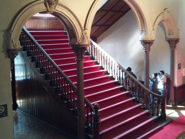 �k�C�������{����(�Ԃ�񂪒���)