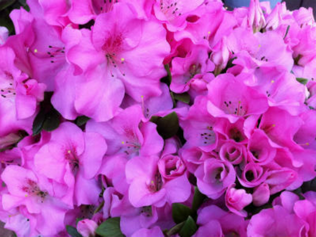 �S����������