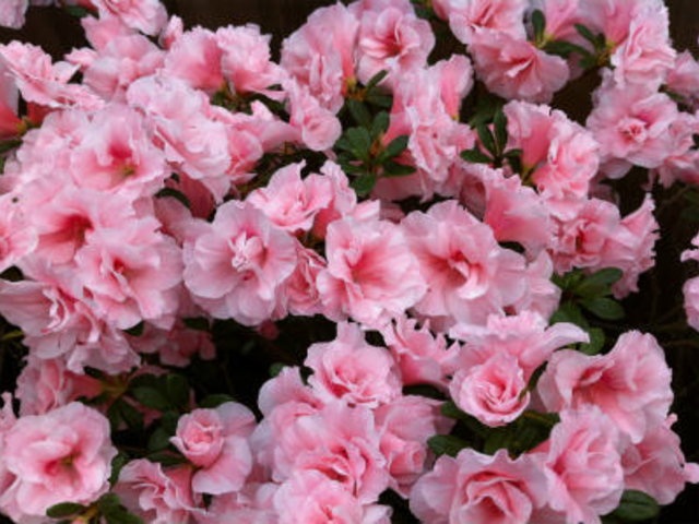 �S����������