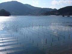 ��������񂳂�̌܃P���p�ւ̓��e�ʐ^1