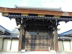 �Ђ낳��̋��s�䏊�ւ̓��e�ʐ^1