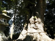 񂳂̐×{_Ёiʖ_Ёj̓eʐ^3