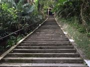 solefiore����̃V���~�`���[�̓��e�ʐ^1