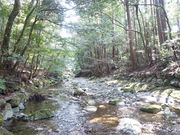 kagura̍c_{ʋ{댴{̓eʐ^2