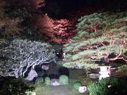 ܂񂳂̋|щ@뉀̓eʐ^2