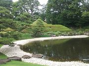 󎍓y̍gtR뉀̓eʐ^1