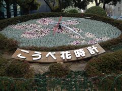 Ȃ܂͂ނ̐_ˉԎvւ̓eʐ^1