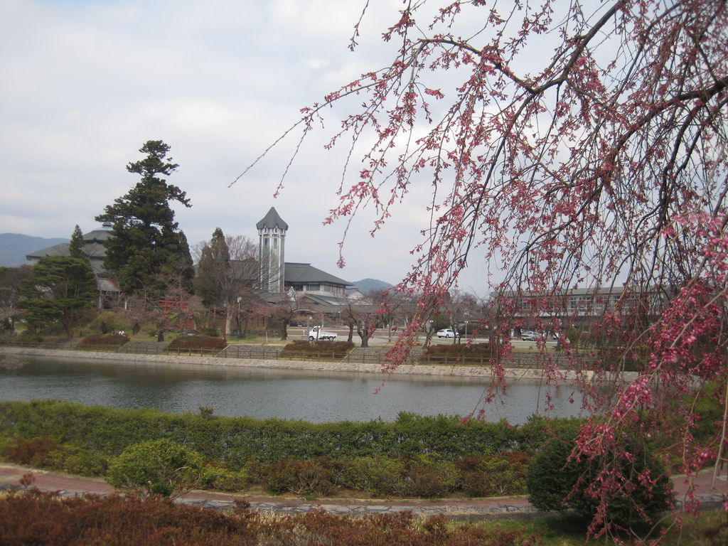 福島 福島県 駅周辺の公園 庭園ランキングtop10 じゃらんnet