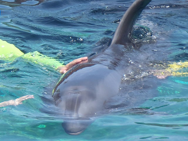 �C���������`_��m���r�[�`�����h&��m���������ቤ��