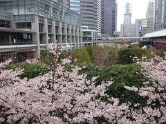 �x����̕i��Z���g�����K�[�f���ւ̓��e�ʐ^1