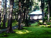 ǁ[̍jՔR򎛋̓eʐ^1