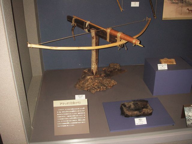 �΃��u�����E�эL�S�N�L�O�فi�L���j_�΃��u�����E�O���[���p�[�N�i400m�x���`�j