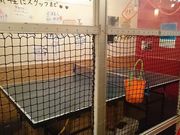 Potȋ싅 ۂ aJX̓eʐ^1