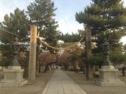 Sakamoto119̓V{̓eʐ^6