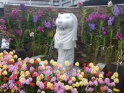 ͂܂肳̐MѐA̓eʐ^3