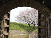 hal̉쎡LOE̍̓eʐ^3