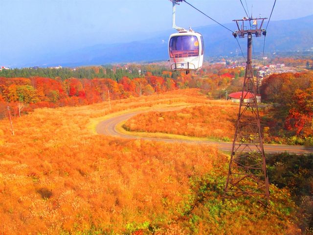 ���傤�ǌ����ł����B_���������X�J�C�P�[�u��