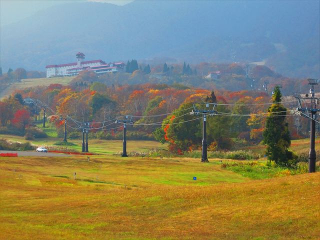 ���ԏ�ߕӂ���_���������X�J�C�P�[�u��