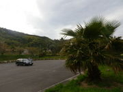 ��������̕ГY���l�C�l�����̓��e�ʐ^3