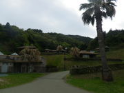 ̕ГYlClI[gLviRe[Ŵ݁j̓eʐ^2