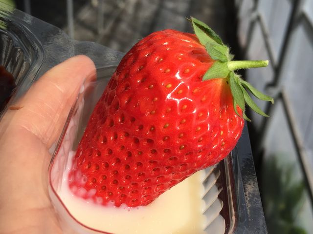 �H�׉������邨�����ȃC�`�S�I_���[��������