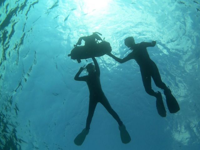 �v�w�ŃV���m�[�P�����O_�X���[���C�t�}�����T�[�r�X