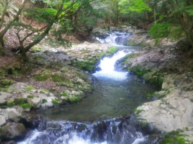 �l�G���y���߂܂��I_���Y������