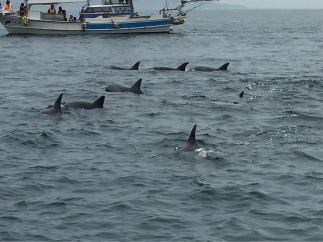 �C���J�E�H�b�`���O�i���̉w �V���s�C���J�Z���^�[�j