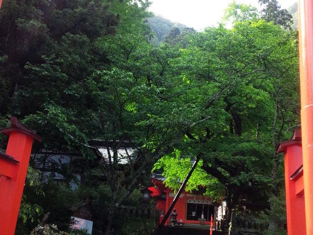 参道へと..._伊那下神社