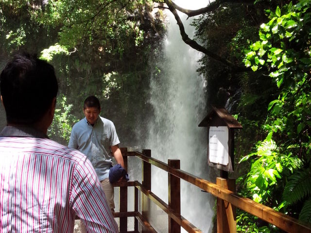 ͖_̊ꂪeX
򖗂..._͒Îꏄ