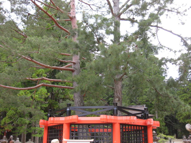 ̎O؂̏̎ɗĂȌ̗tɂƉNǂƌĂ܂B_d㉾