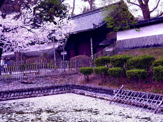 上田藩主居館表門_上田藩主居館表門