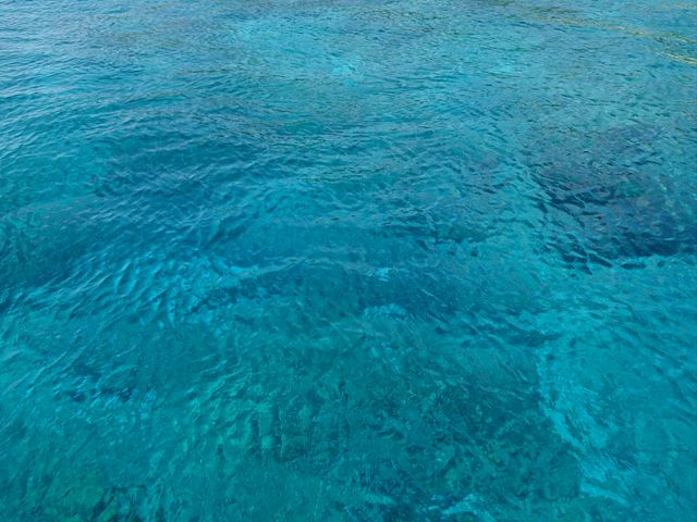 �V���m�[�P�������ł��A���Ȃ�L���C�ȊC�����\�o���܂��I_�J�C�U�[�}�����N���u