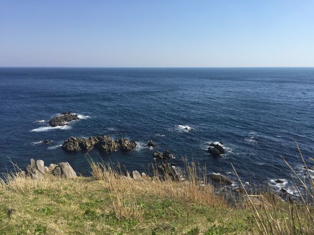 ���݁B_���Җ�