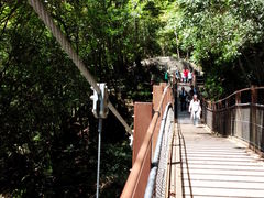 どせいさんさんの河津踊子滝見橋への投稿写真1