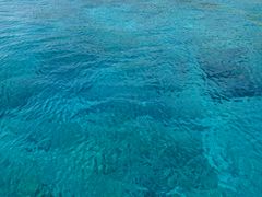 ܂Ȃ̃JCU[}Nuւ̓eʐ^1